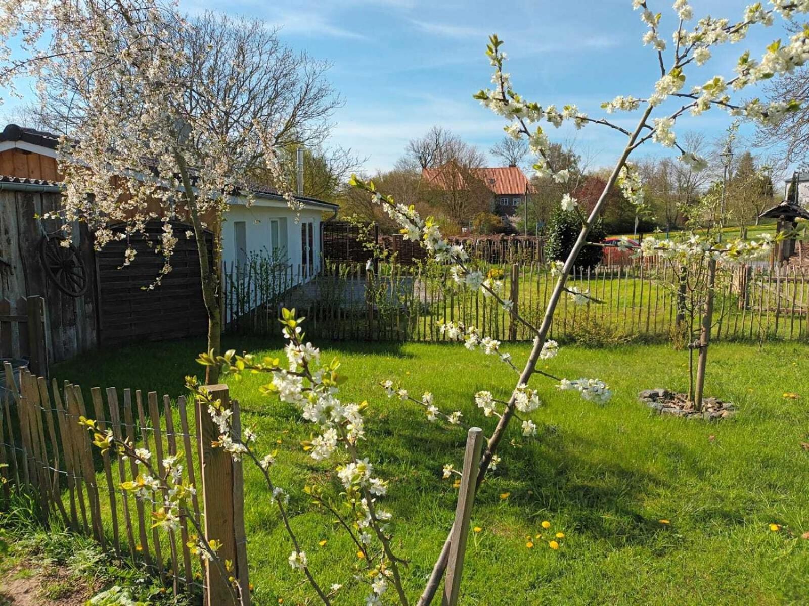 Apfelhof Villa Grundshagen ห้อง รูปภาพ